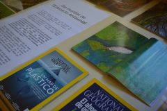 Dia_Mundial_Educacio_Ambiental_02