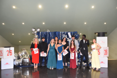 Proyecto_20260514_0071