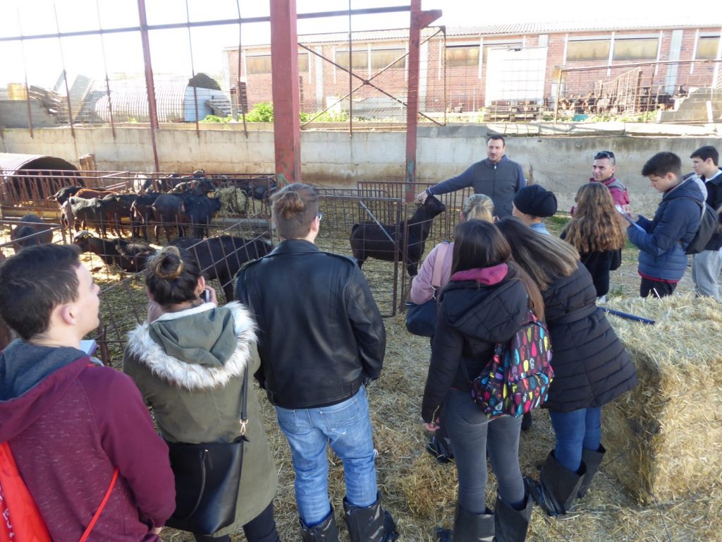 Visita a la fàbrica i granja de formatges Cal Quitèria d'Almacelles