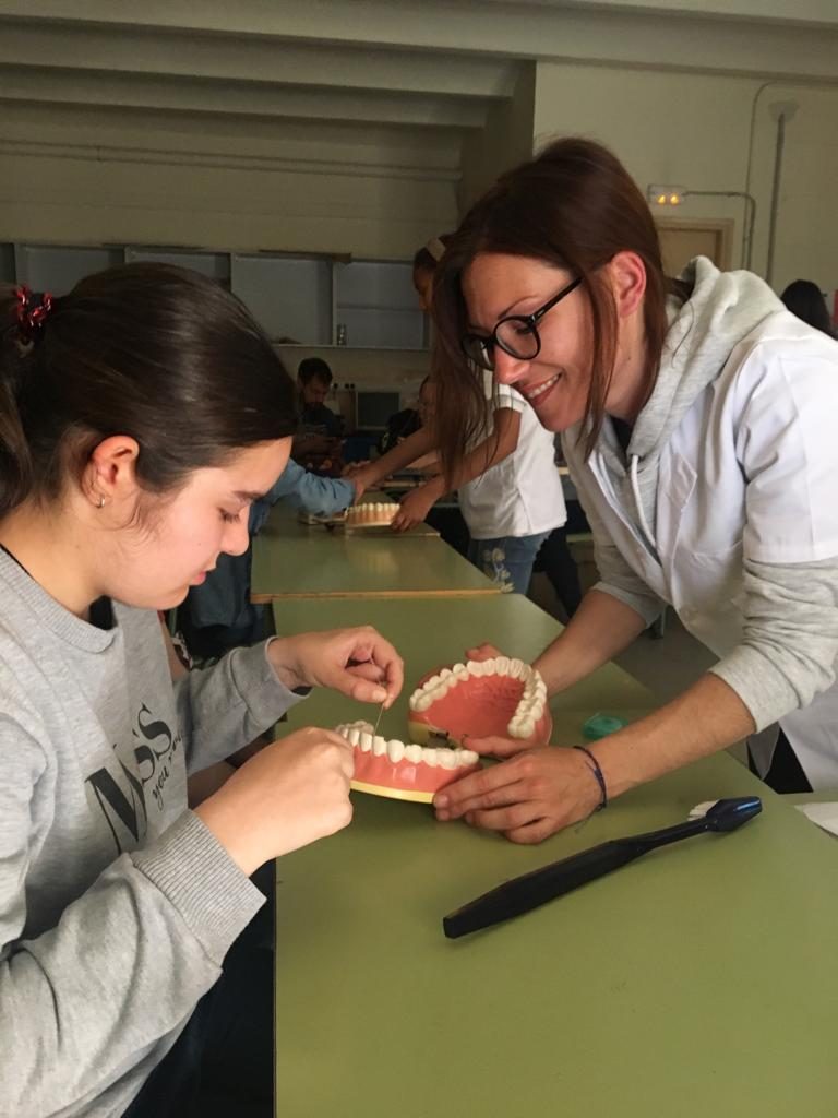 Voluntariat INS Torrevicens