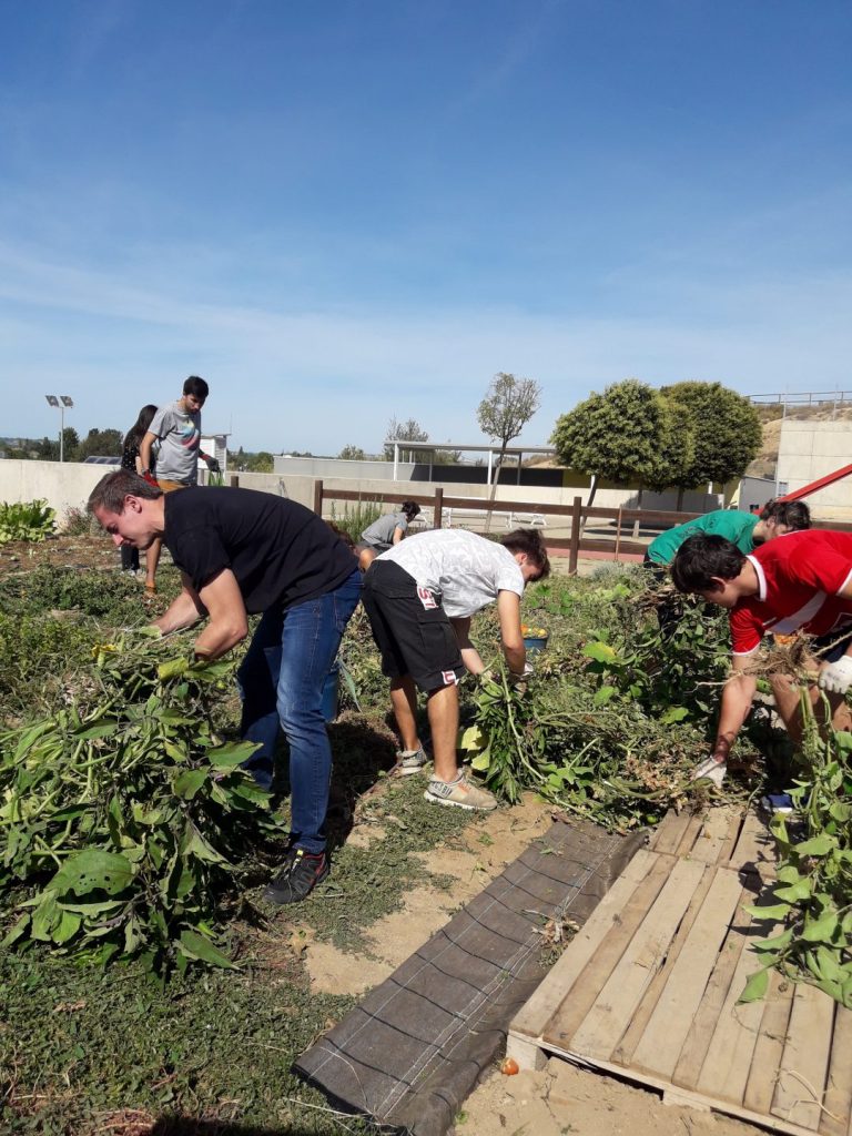 Recuperem el nostre hort