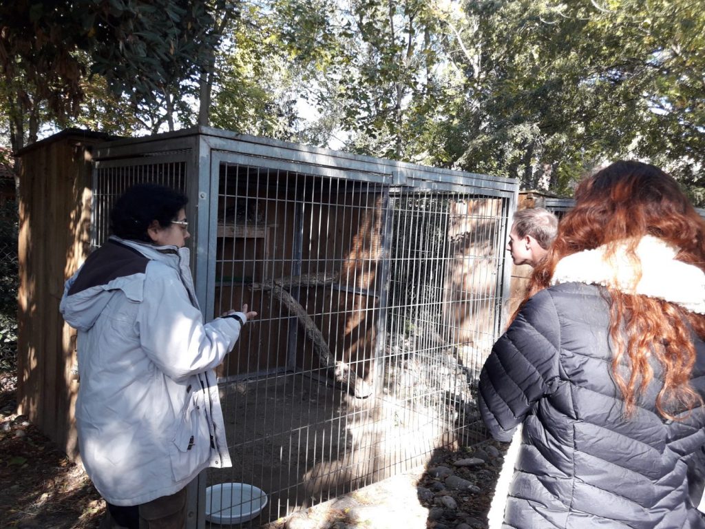 Visita al Centre de Fauna de Vallcalent