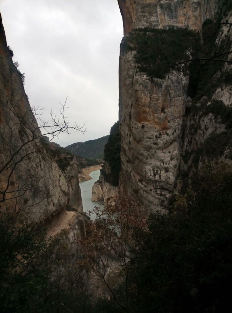 Visita micològica al Montsec i congost de Mont-rebei