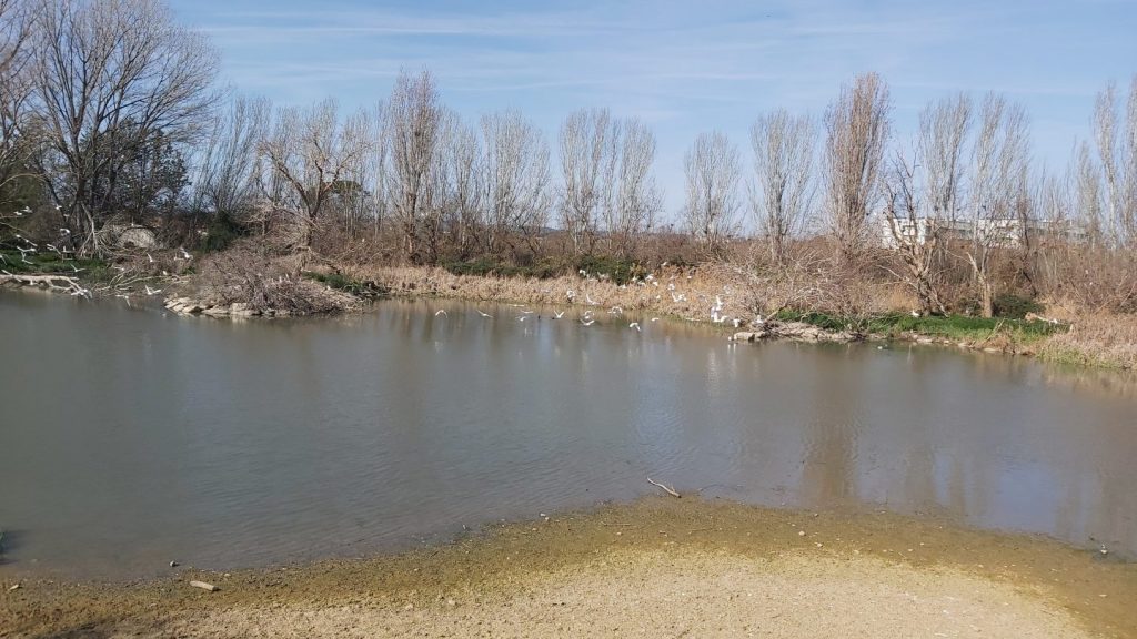 Visita al Centre de Fauna de Vallcalent