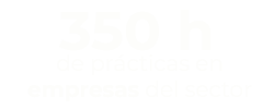 350h-empresas