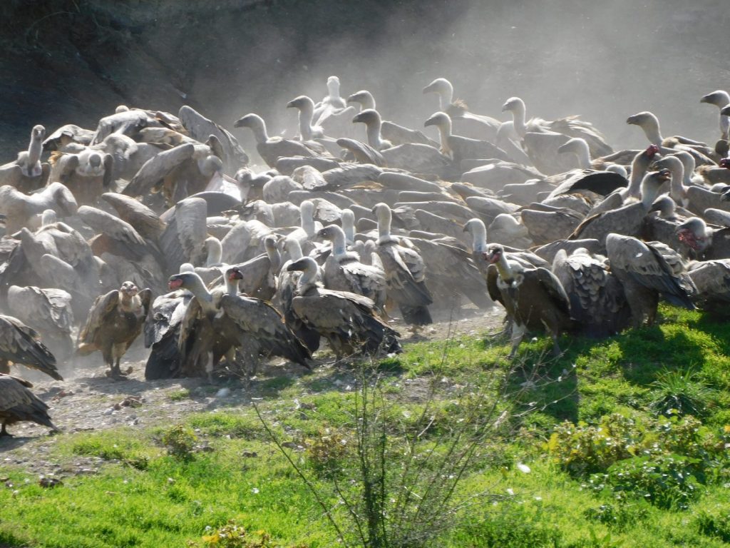 L'alumnat d'Educació i Control Ambiental visiten Ainsa.