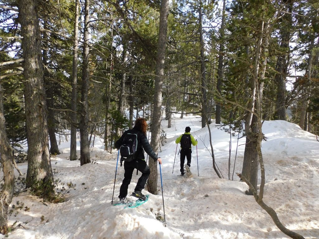 Visistem el Parc Nacional d'Aigüestortes