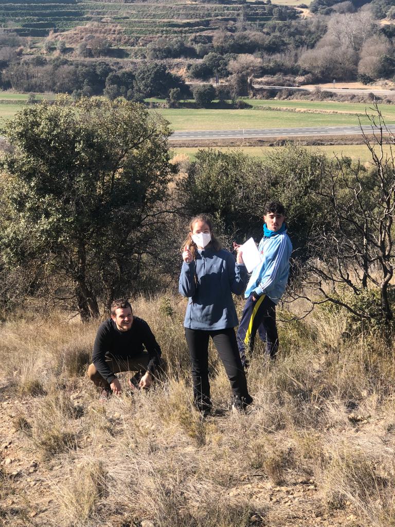 La vegetació després d'un incendi