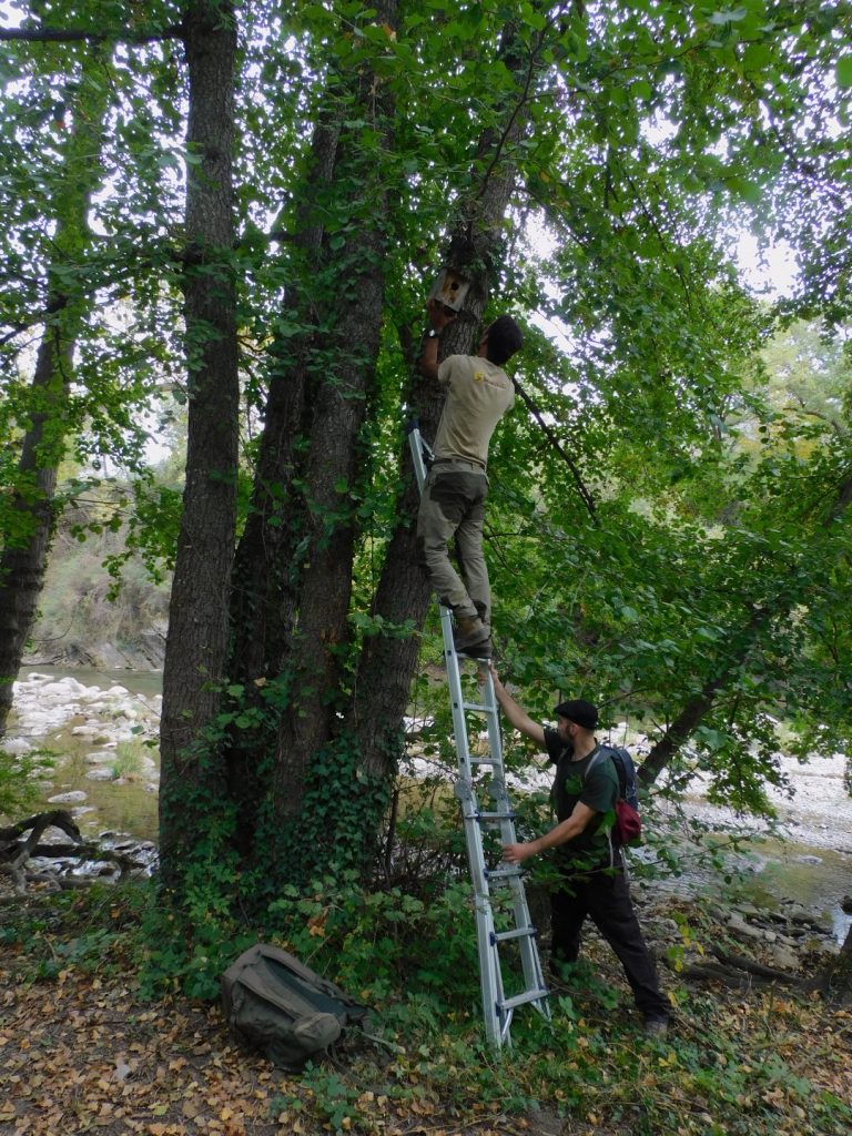 Ruta ambiental per La Pobla de Segur