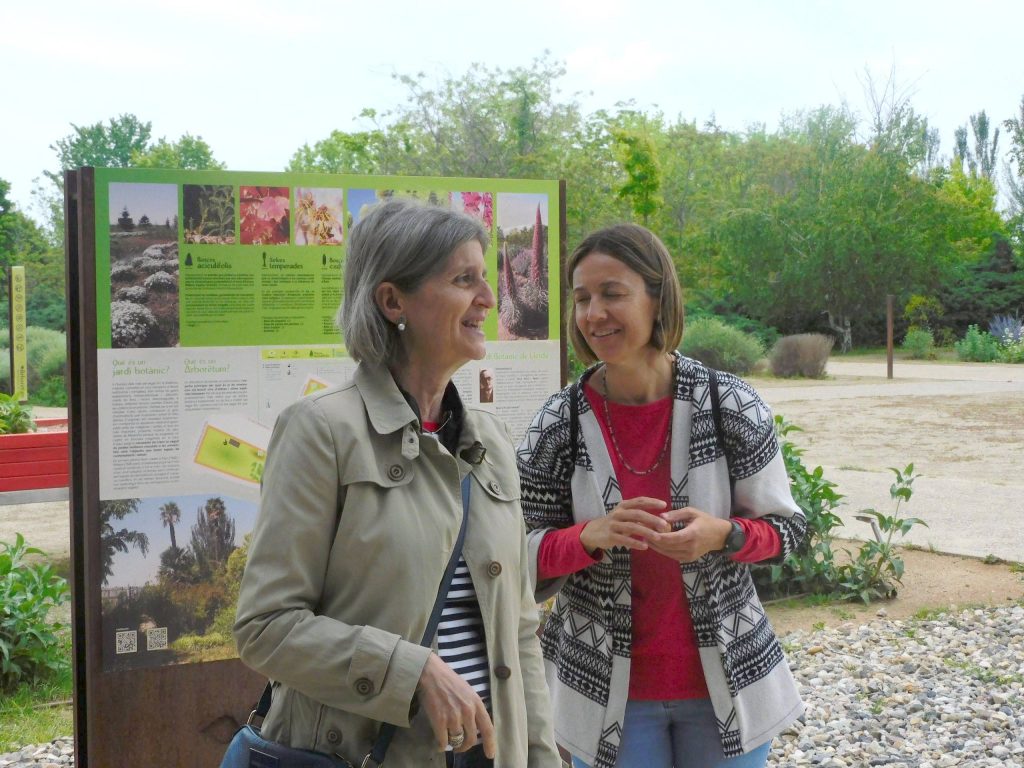 Rosàcies, liliàcies, asteràcies i molt més!