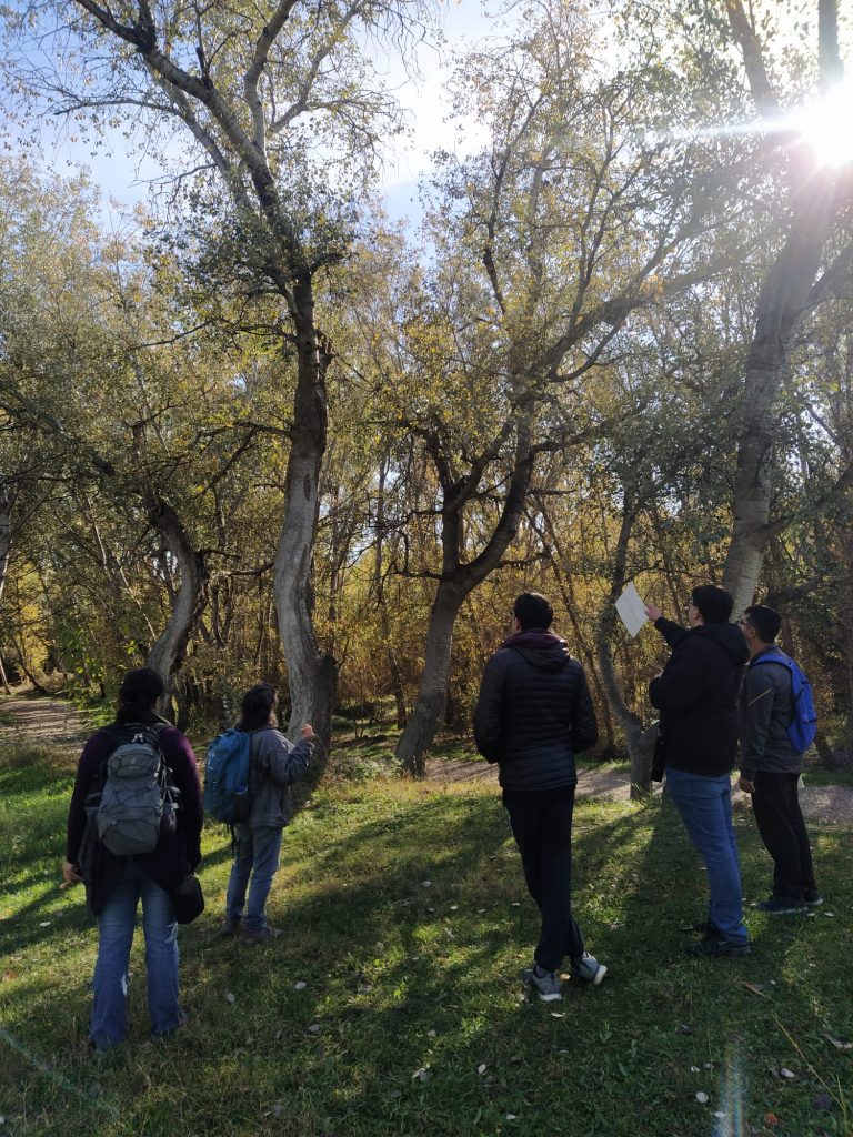 Descobrim el Parc de la Mitjana