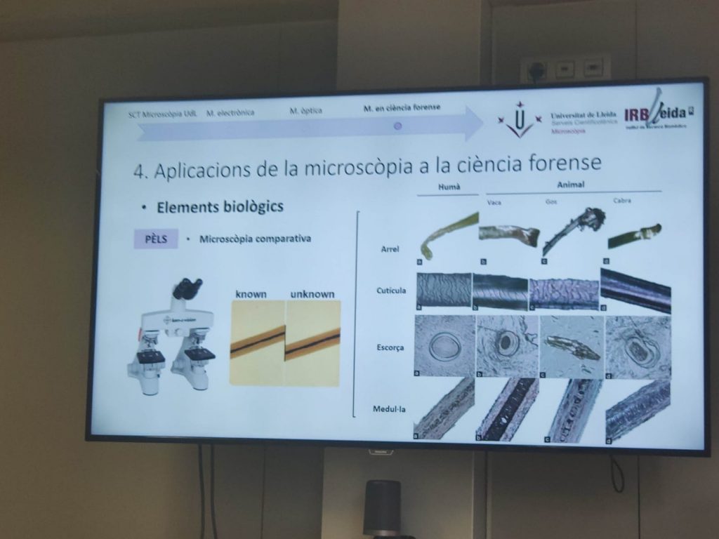 Aplicacions de la Microscòpia a la Ciència Forense