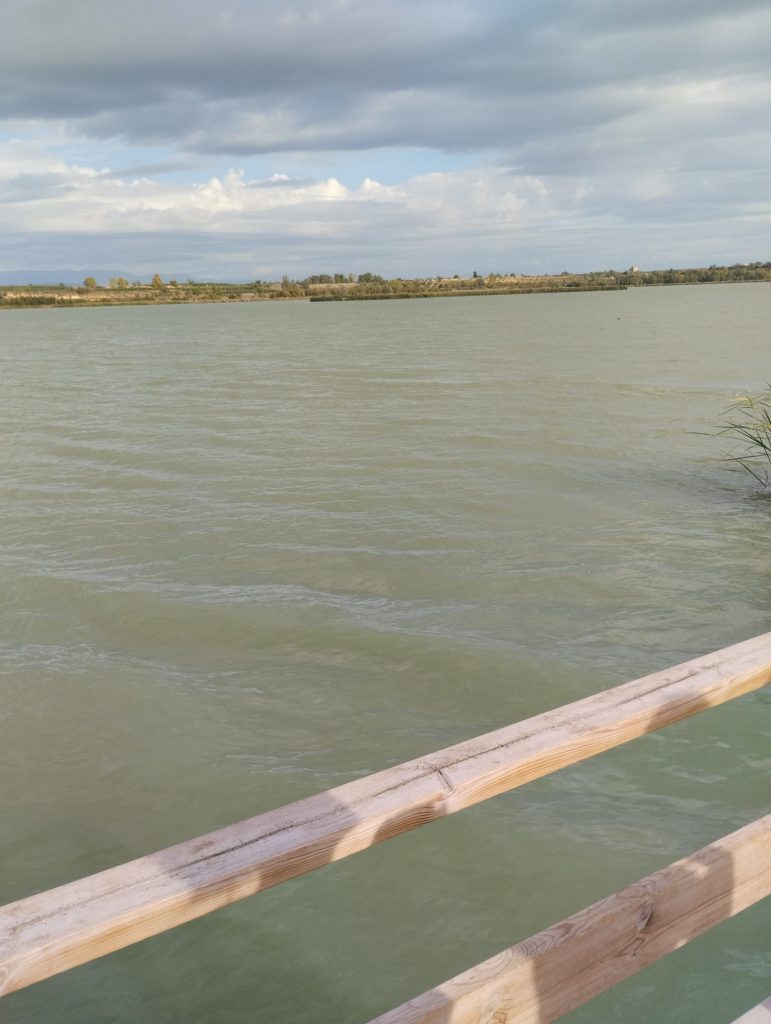 Visita interpretativa a l’estany d’Ivars i Vila-Sana