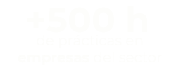 +500h-empresas