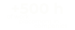 +500h2 +500h2